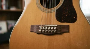 Detailed view of a 12-string guitar bridge showing octave and unison paired string courses anchored with bridge pins.