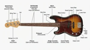 Anatomy diagram showing the parts of a beginner bass guitar for UK learners